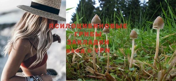 каннабис Козловка