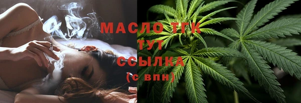 индика Кодинск