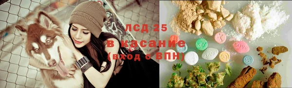 индика Кодинск