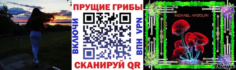 Купить  Фокино  Псилоцибиновые грибы мицелий 
